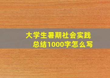 大学生暑期社会实践总结1000字怎么写