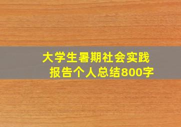 大学生暑期社会实践报告个人总结800字