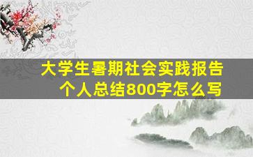 大学生暑期社会实践报告个人总结800字怎么写