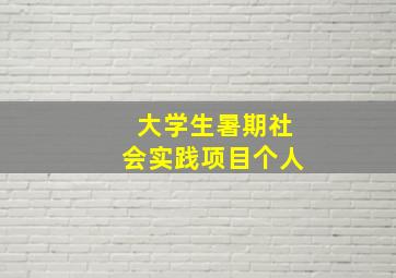 大学生暑期社会实践项目个人