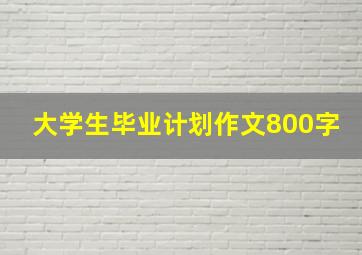 大学生毕业计划作文800字