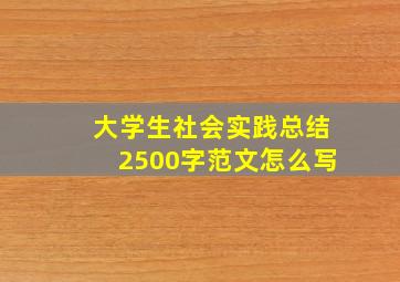 大学生社会实践总结2500字范文怎么写