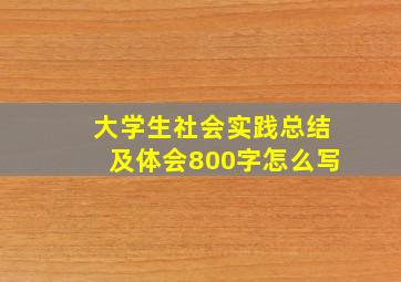 大学生社会实践总结及体会800字怎么写