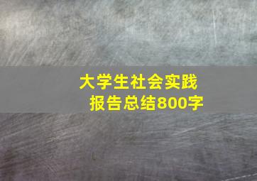 大学生社会实践报告总结800字