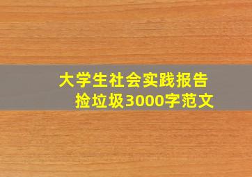 大学生社会实践报告捡垃圾3000字范文