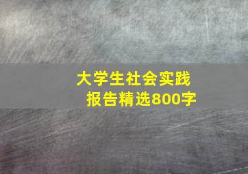 大学生社会实践报告精选800字