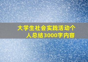 大学生社会实践活动个人总结3000字内容