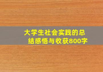 大学生社会实践的总结感悟与收获800字