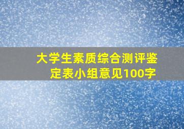 大学生素质综合测评鉴定表小组意见100字