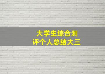 大学生综合测评个人总结大三