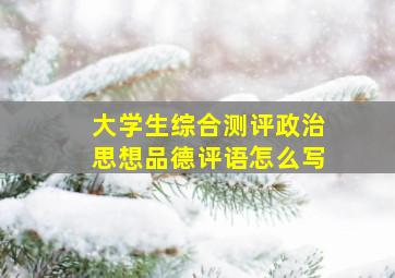 大学生综合测评政治思想品德评语怎么写