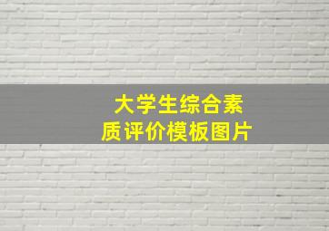 大学生综合素质评价模板图片