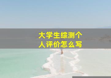 大学生综测个人评价怎么写