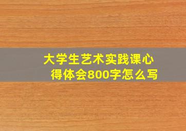 大学生艺术实践课心得体会800字怎么写