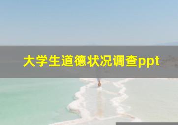 大学生道德状况调查ppt