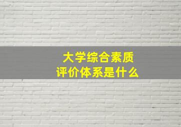 大学综合素质评价体系是什么