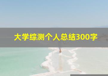 大学综测个人总结300字