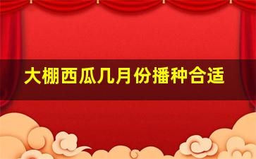 大棚西瓜几月份播种合适