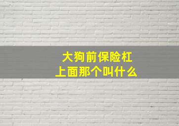 大狗前保险杠上面那个叫什么