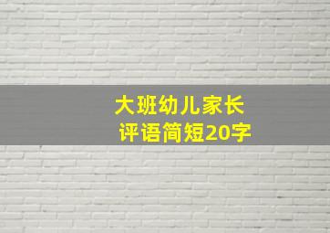 大班幼儿家长评语简短20字