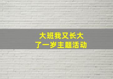 大班我又长大了一岁主题活动