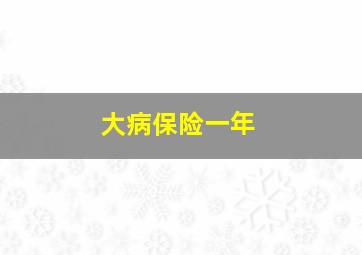 大病保险一年