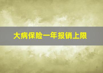 大病保险一年报销上限