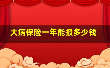 大病保险一年能报多少钱