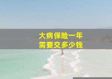 大病保险一年需要交多少钱