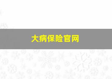 大病保险官网