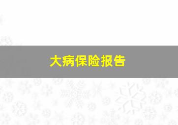 大病保险报告