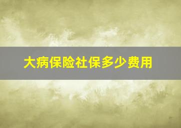 大病保险社保多少费用