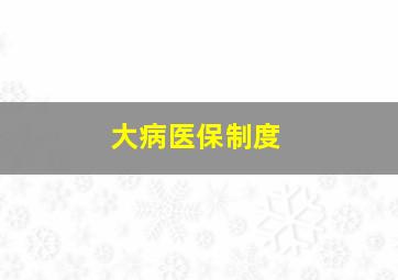 大病医保制度