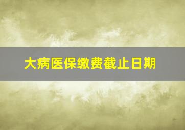 大病医保缴费截止日期