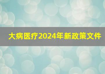 大病医疗2024年新政策文件