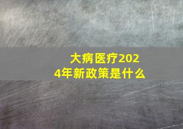 大病医疗2024年新政策是什么