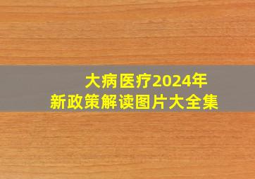 大病医疗2024年新政策解读图片大全集