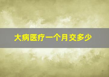 大病医疗一个月交多少