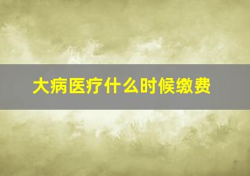 大病医疗什么时候缴费