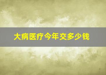 大病医疗今年交多少钱