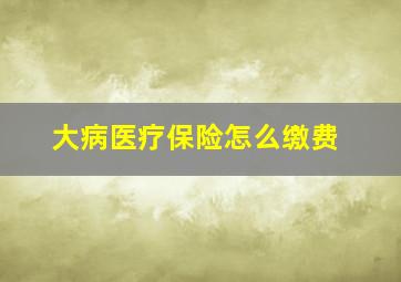 大病医疗保险怎么缴费