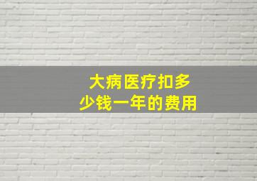 大病医疗扣多少钱一年的费用