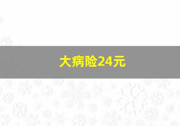 大病险24元