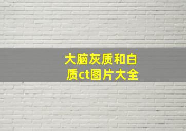 大脑灰质和白质ct图片大全