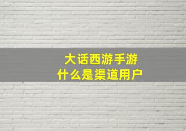 大话西游手游什么是渠道用户