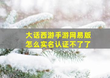 大话西游手游网易版怎么实名认证不了了