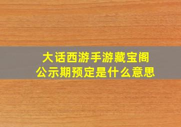 大话西游手游藏宝阁公示期预定是什么意思