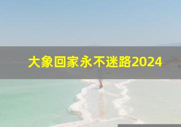 大象回家永不迷路2024