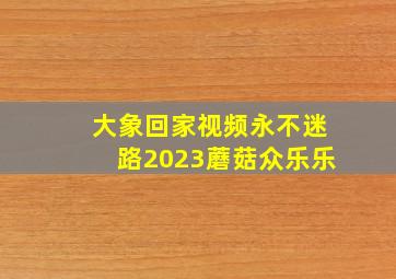 大象回家视频永不迷路2023蘑菇众乐乐