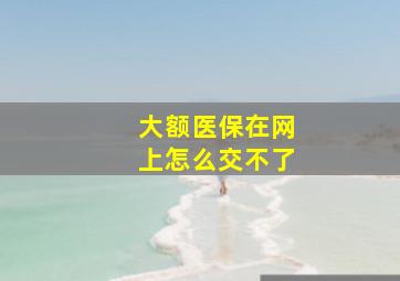 大额医保在网上怎么交不了